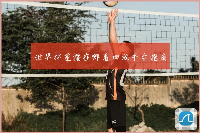 世界杯重播在哪看回放平台指南