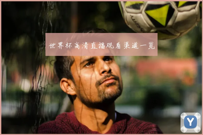 世界杯高清直播观看渠道一览