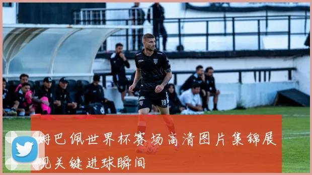 姆巴佩世界杯赛场高清图片集锦展现关键进球瞬间